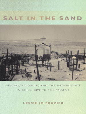 cover image of Salt in the Sand
